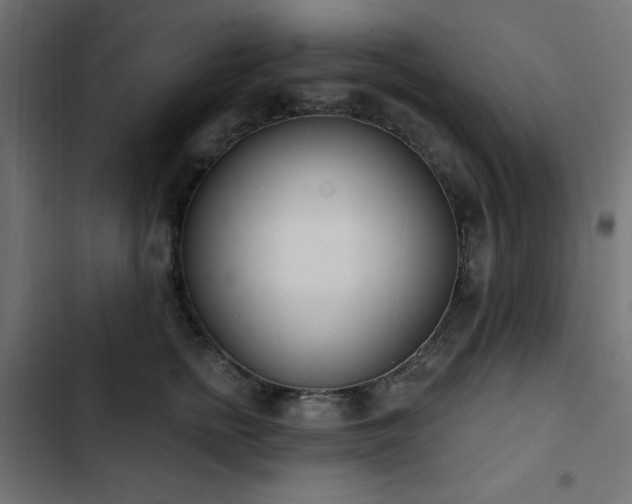 X0000103490758200809121714