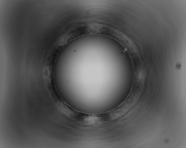 X0000103490759200809121714