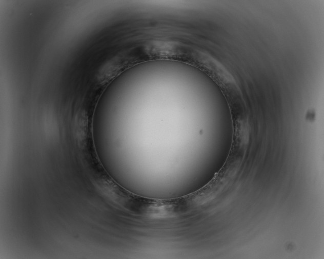 X0000103490760200809121714