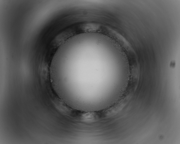 X0000103490761200809121714