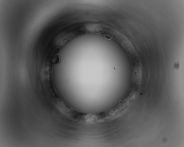 X0000103490762200809121714