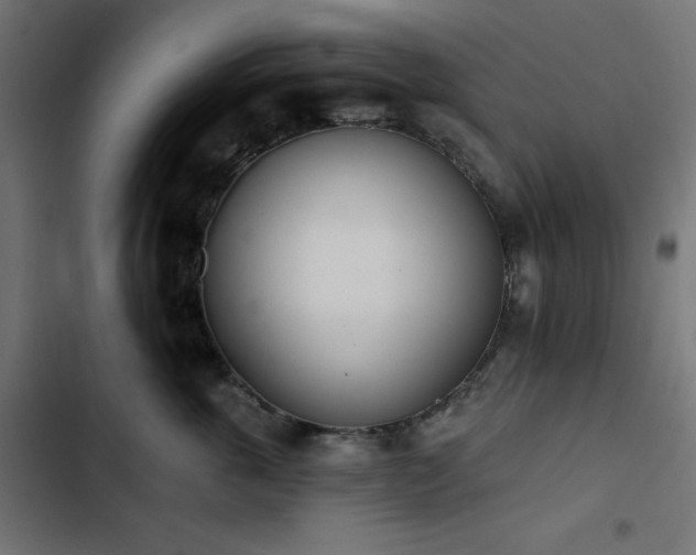 X0000103490763200809121714