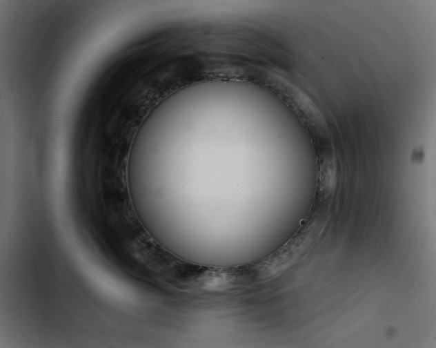 X0000103490764200809121714