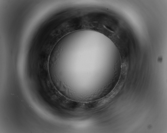 X0000103490765200809121714