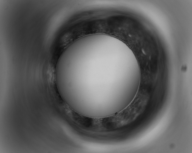 X0000103490766200809121714