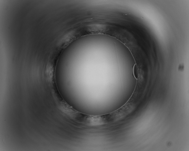 X0000103490767200809121714