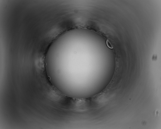 X0000103490768200809121714