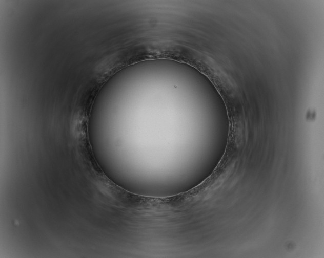 X0000103490770200809121714