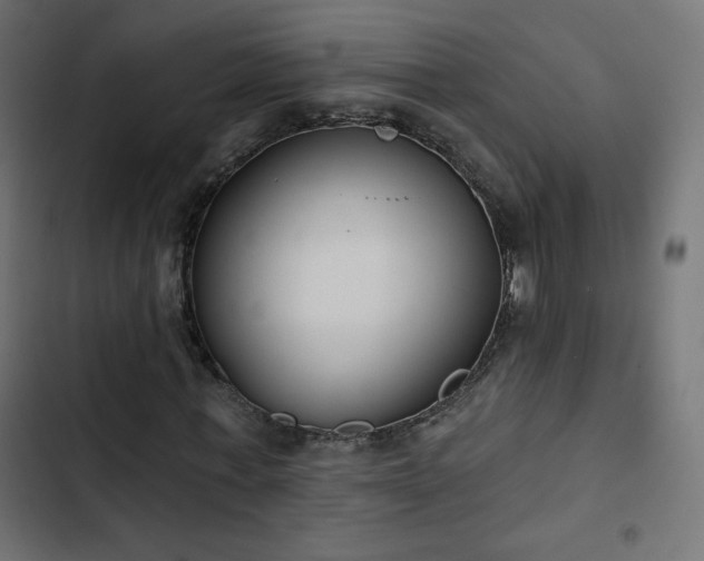 X0000103490771200809121714