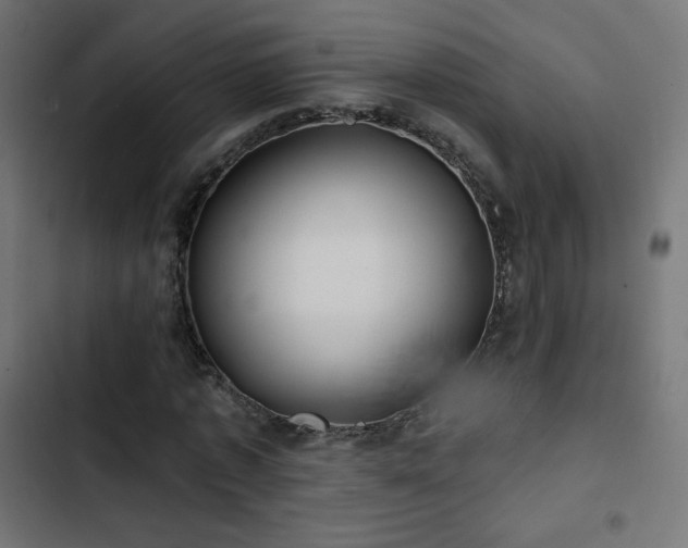 X0000103490773200809121714