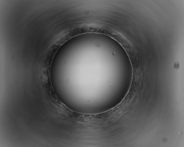 X0000103490774200809121714