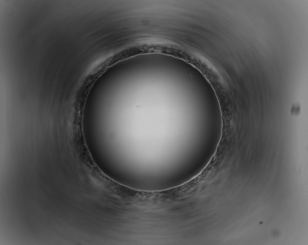 X0000103490775200809121714