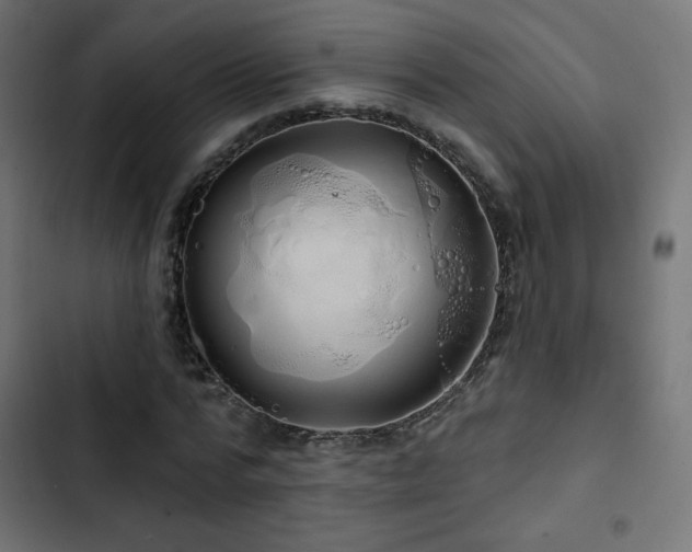 X0000103490776200809121714