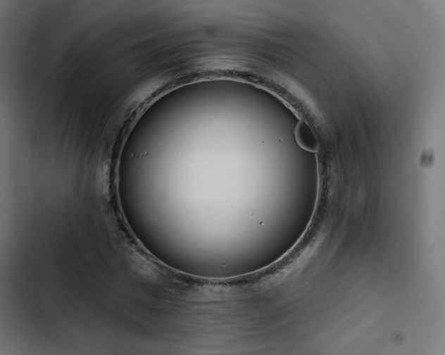 X0000103490777200809121714