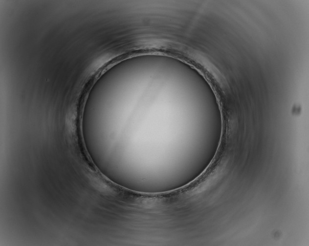 X0000103490778200809121714