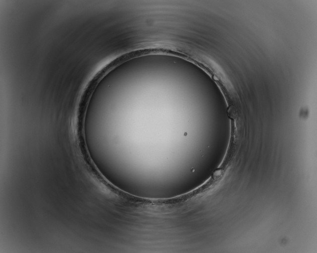 X0000103490780200809121714