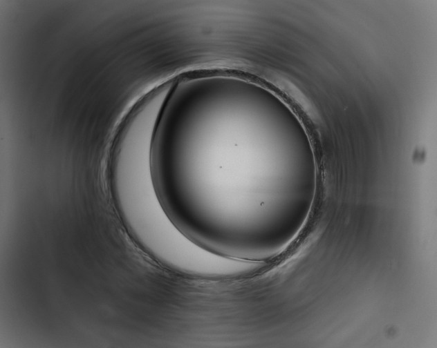 X0000103490781200809121714