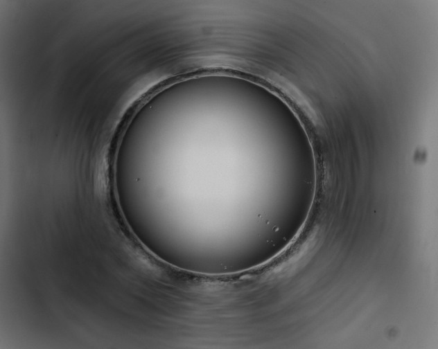 X0000103490782200809121713