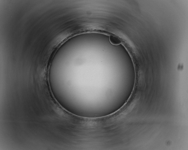 X0000103490785200809121713