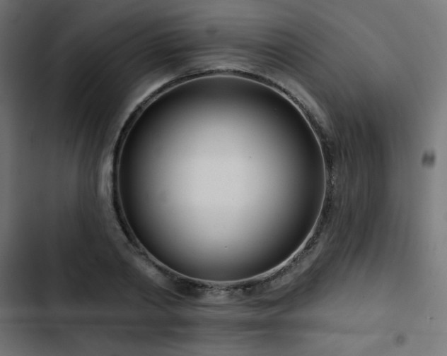 X0000103490790200809121713