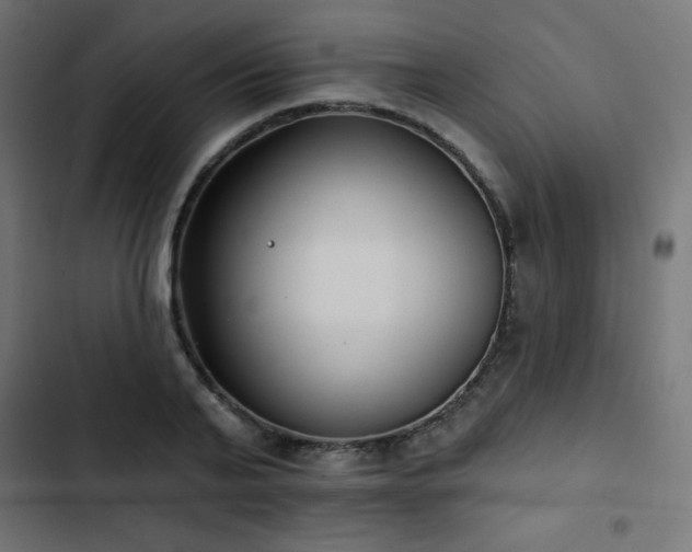 X0000103490791200809121713