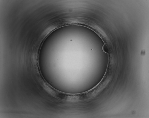 X0000103490793200809121713