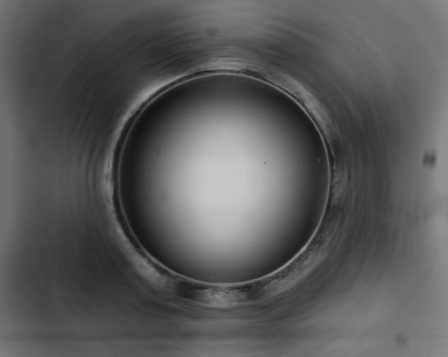 X0000103490795200809121713