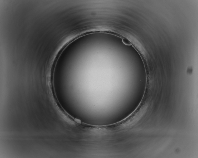 X0000103490797200809121713