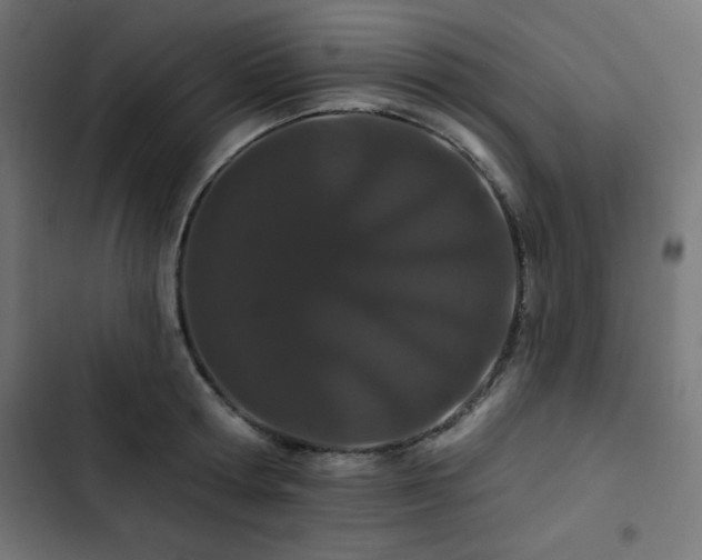 X0000103490802200809121713