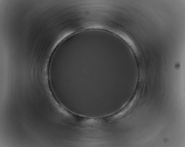 X0000103490806200809121713