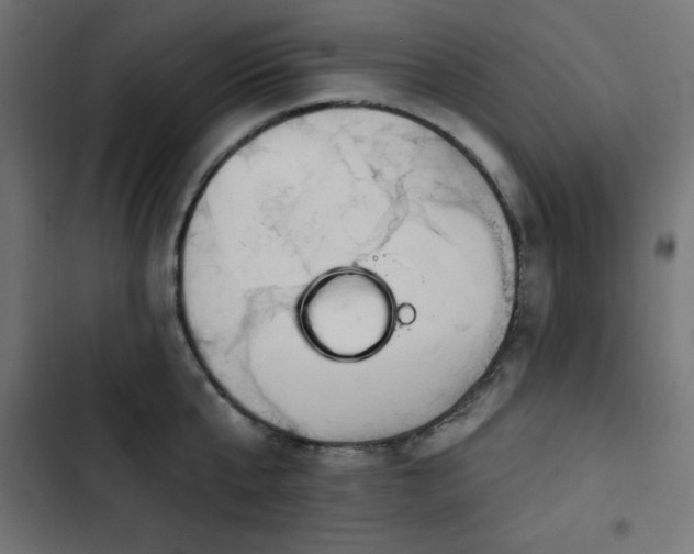 X0000103490807200809121713