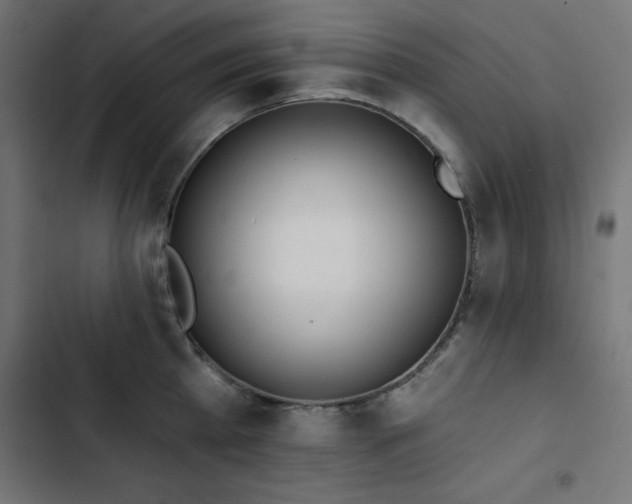 X0000103490809200809121713