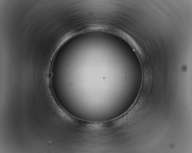 X0000103490810200809121713