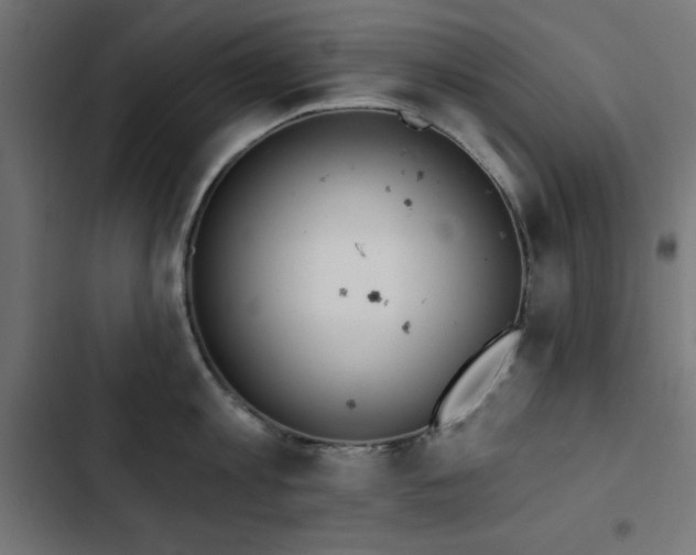 X0000103490813200809121713