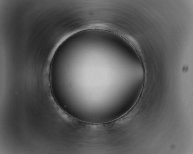 X0000103490816200809121713