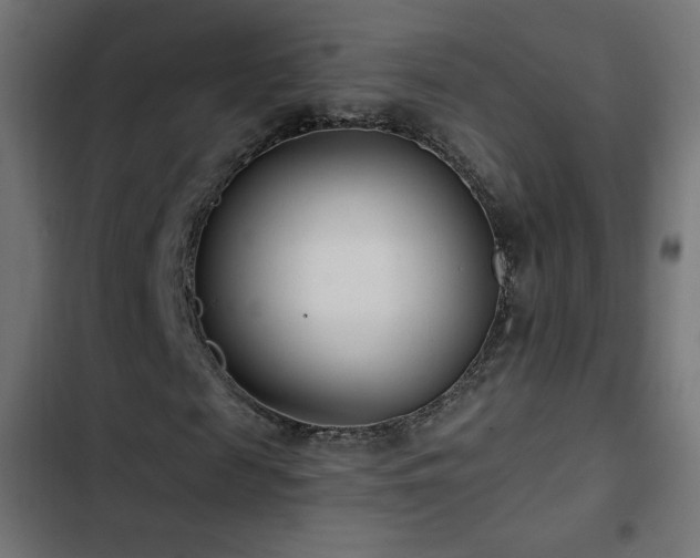 X0000103490817200809121712