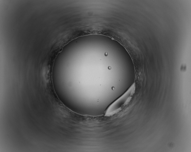 X0000103490818200809121712