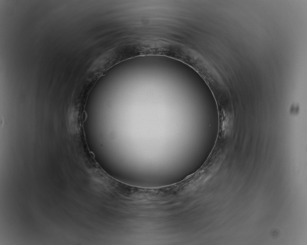 X0000103490819200809121712