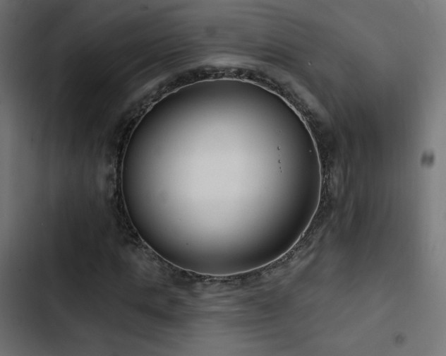 X0000103490821200809121712