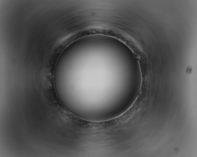 X0000103490822200809121712