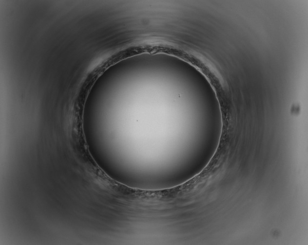 X0000103490823200809121712