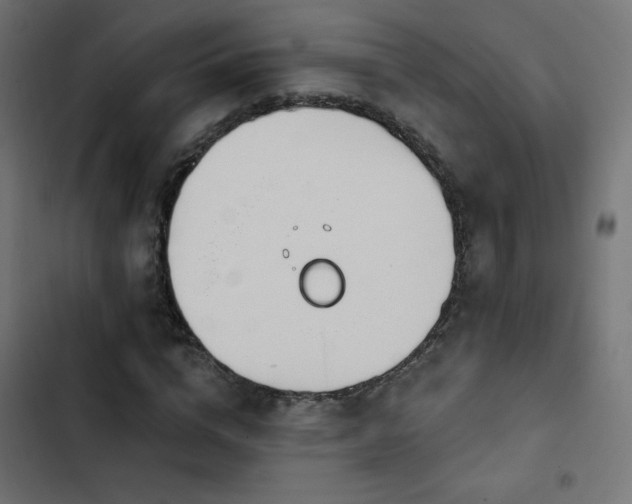 X0000103490824200809121712