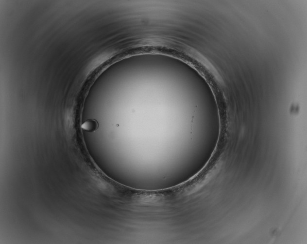 X0000103490826200809121712