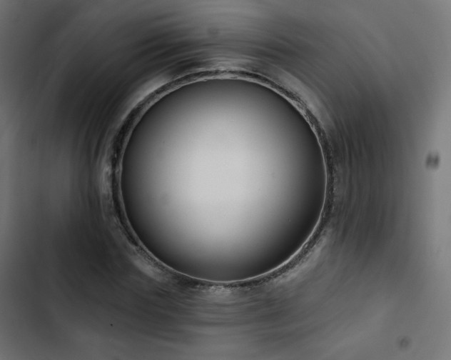 X0000103490827200809121712