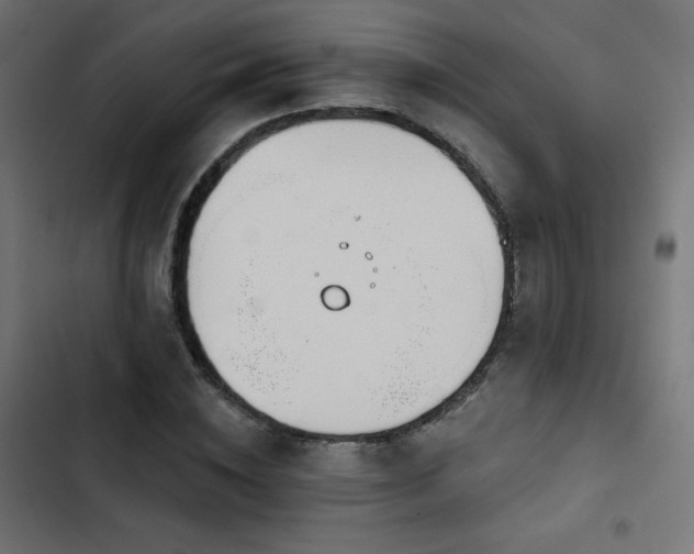 X0000103490828200809121712