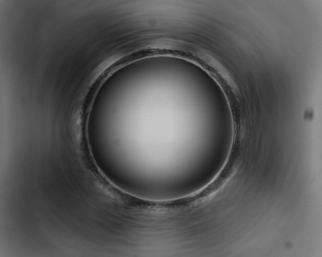 X0000103490829200809121712