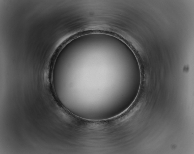 X0000103490830200809121712