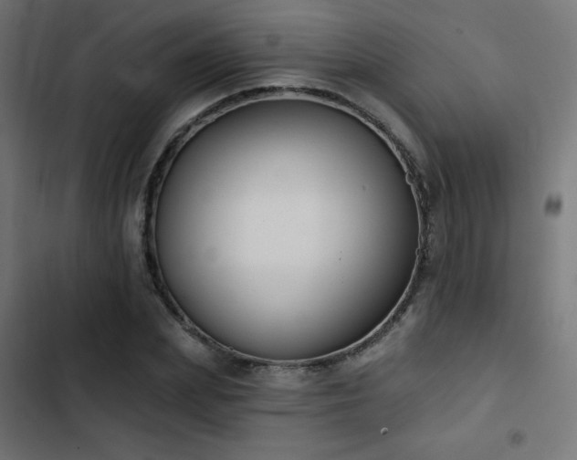 X0000103490831200809121712