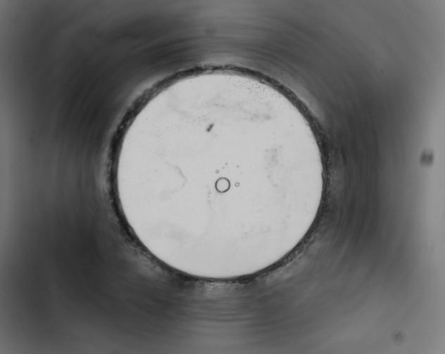 X0000103490832200809121712