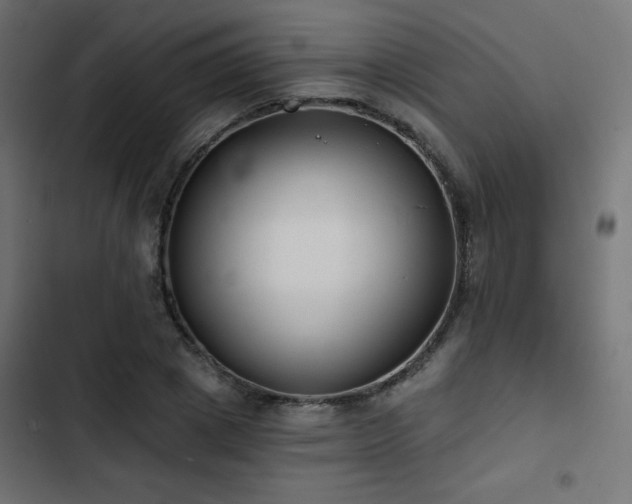 X0000103490833200809121713